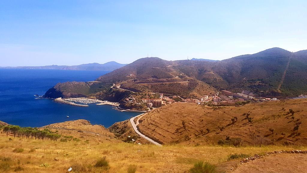 Studio "Les Roches Blanches" - Vue Mer & Vignes بانيول سور مير المظهر الخارجي الصورة